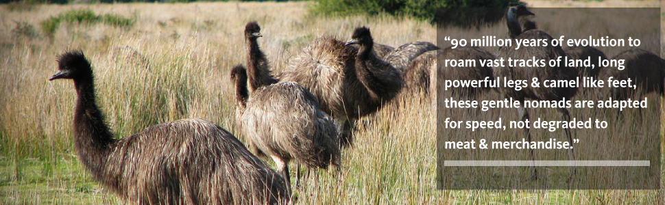 EMU