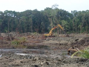 Queensland-landclearing