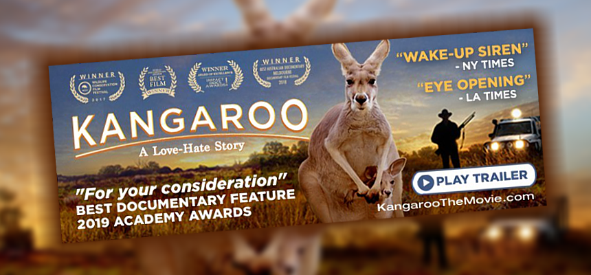 Kangaroo-europe-update-jan2020