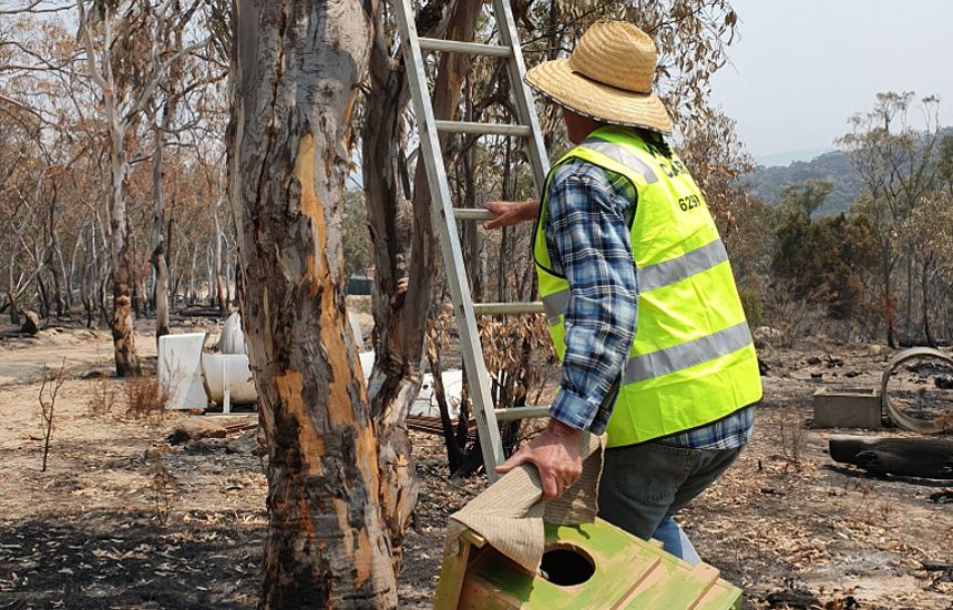 nesting-box-installation-wildcare