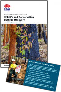 wildlife-cons-bushfire-recovery