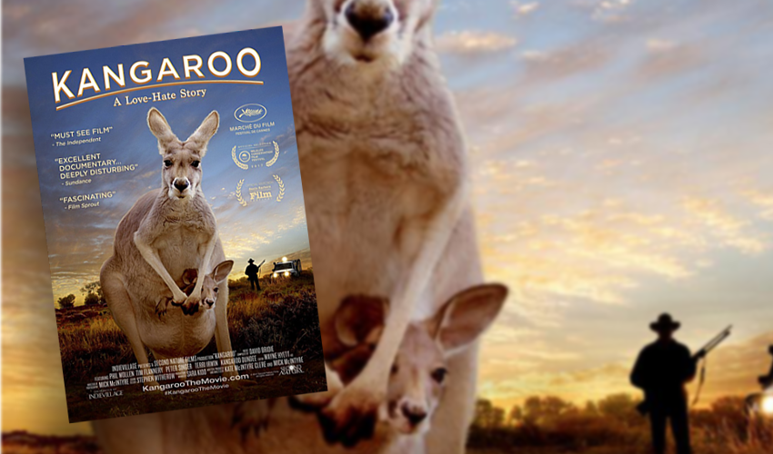 KANGAROO-MOVIE-feature-awpc