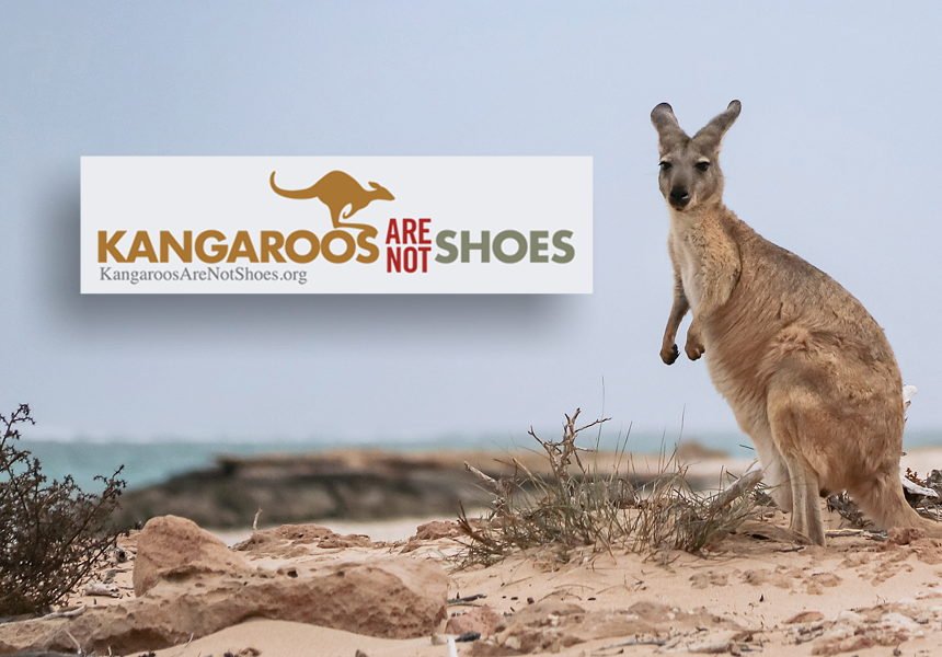 US-campaign-congress-kangaroos-are-not-shoes