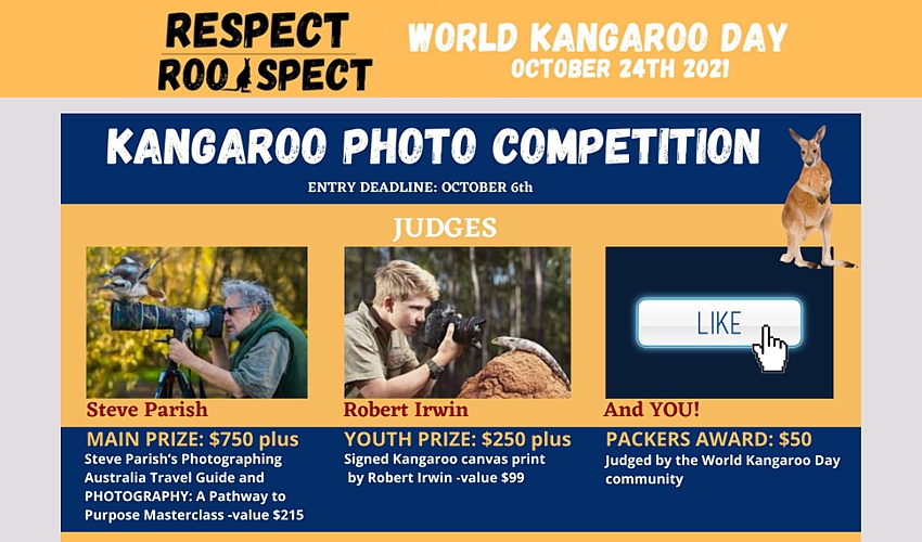 world-kangaroo-day-photo-comp