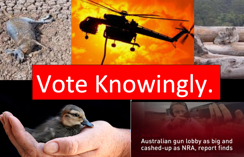 vote-knowingly