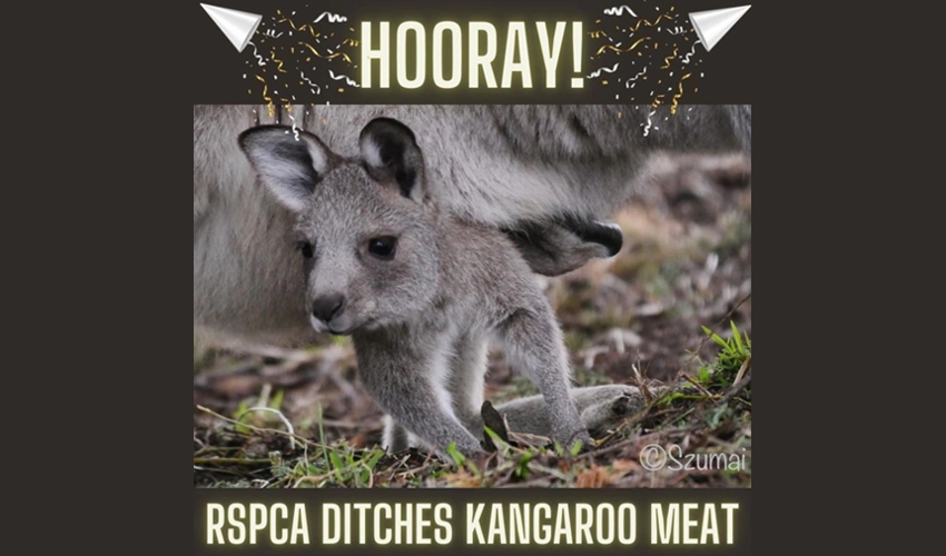 Hooray_RSPCA-ditches-roo-meat