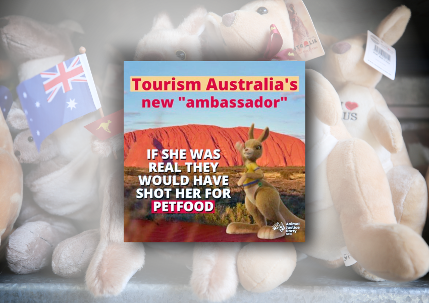 Ruby-Tourism-Aust-new-ambassador_source-WorldKangarooDay2022