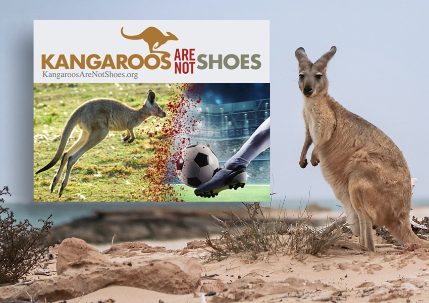 US-campaign-congress-kangaroos-are-not-shoes